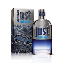 בושם לגבר Roberto Cavalli Just Cavalli 90ml E.D.T